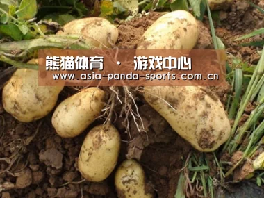 种植基地六