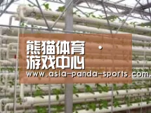 环境展示六