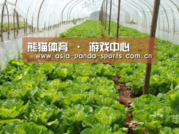 种植基地五