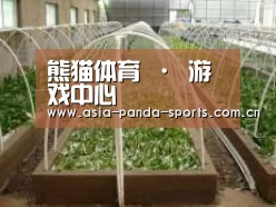 环境展示五