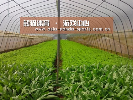 种植基地四