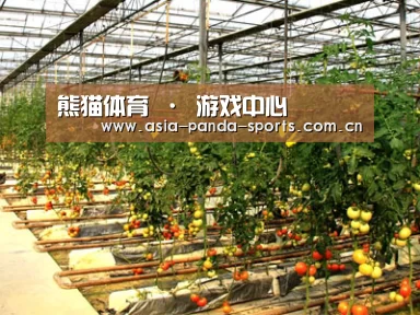 种植基地二(图1)