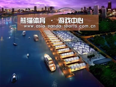 案例展示八