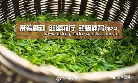 带着感动 继续前行_熊猫体育app(图3) 熊猫体育平台