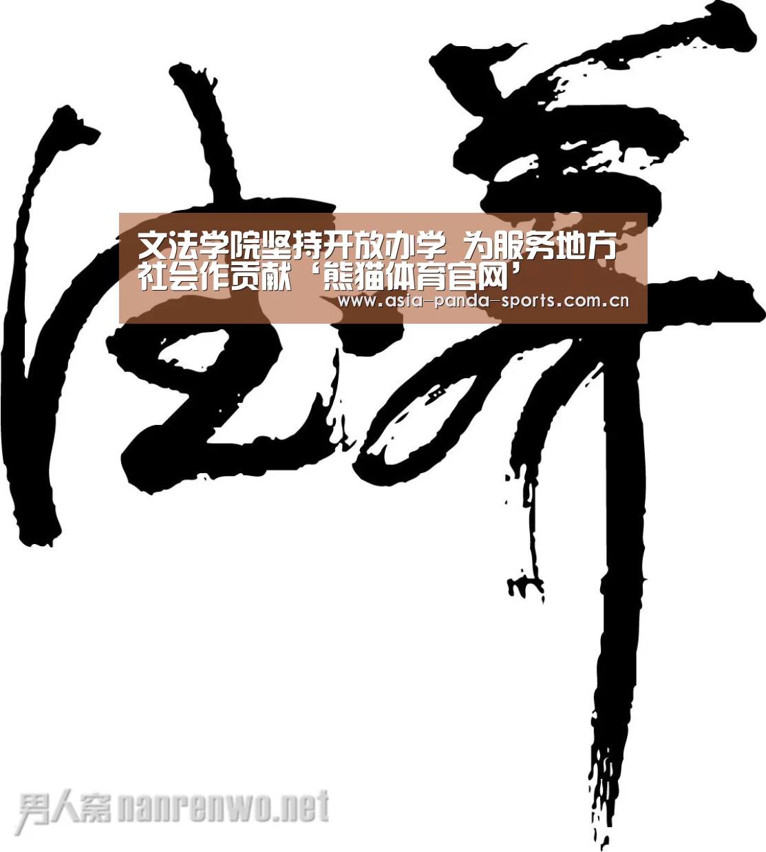 熊猫体育平台