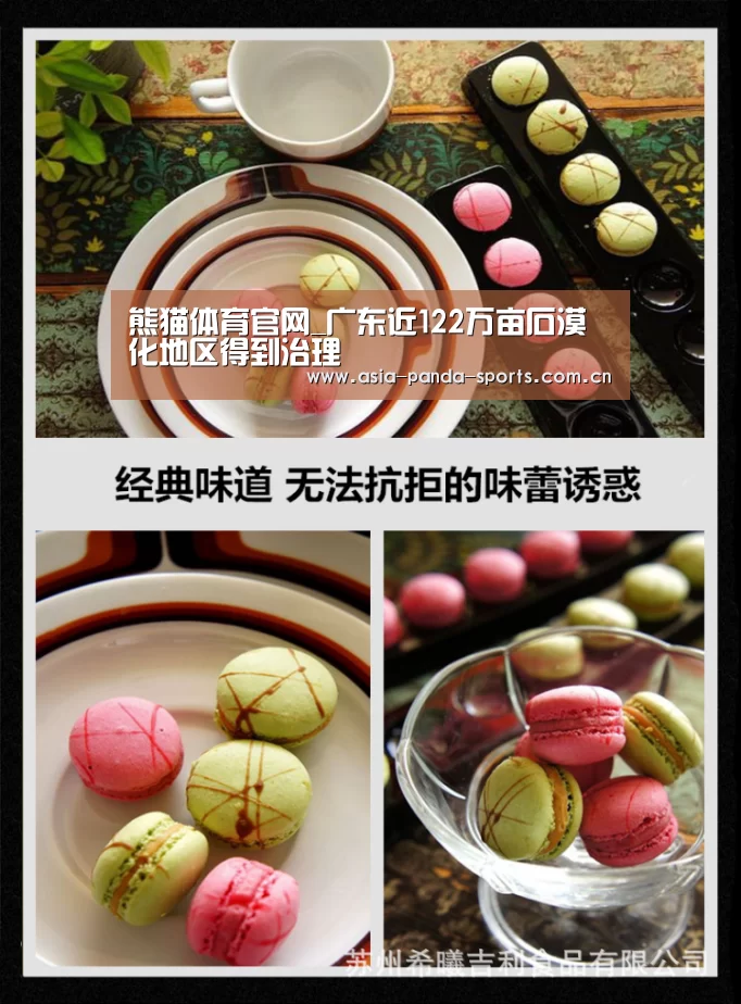 熊猫体育app